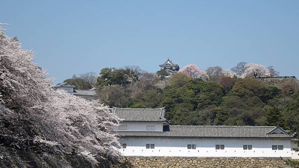 京都崗山米原名古屋 712.jpg