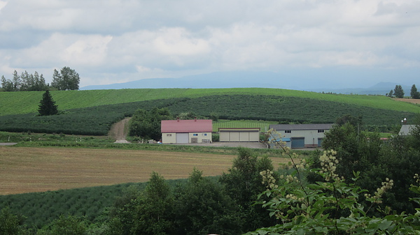 2010夏北海道行 501.jpg