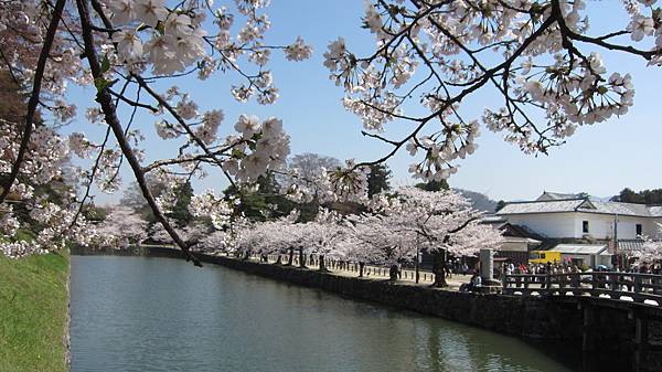 京都崗山米原名古屋 667.jpg