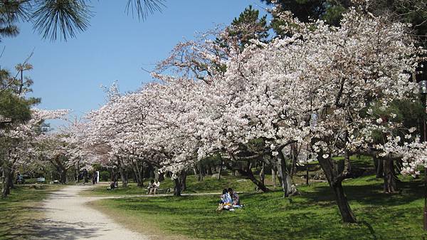 京都崗山米原名古屋 751.jpg