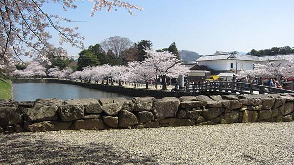 京都崗山米原名古屋 666.jpg