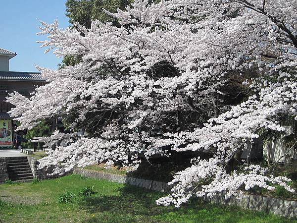 京都崗山米原名古屋 633.jpg