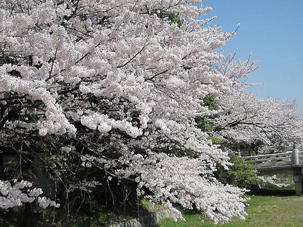 京都崗山米原名古屋 637.jpg