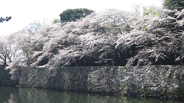 京都崗山米原名古屋 651.jpg