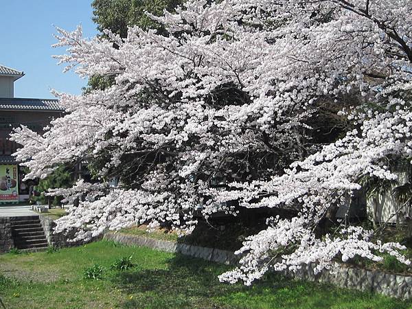 京都崗山米原名古屋 634.jpg