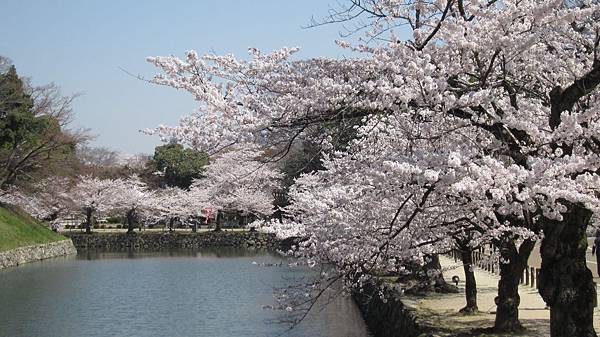 京都崗山米原名古屋 664.jpg