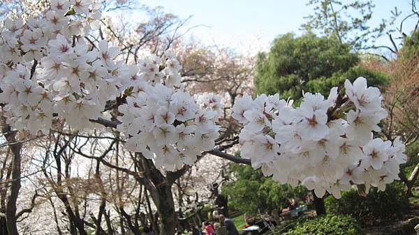 京都崗山米原名古屋 782.jpg