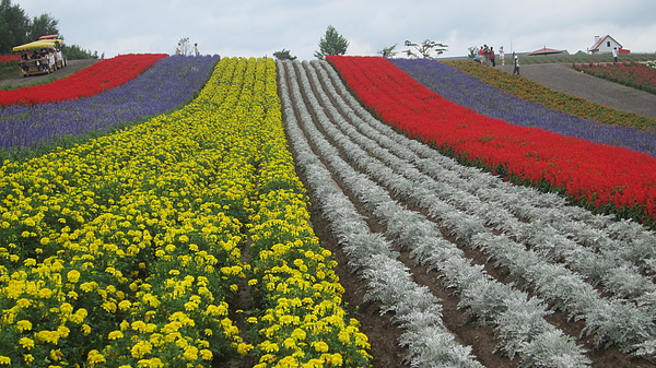 2010夏北海道行 567.jpg