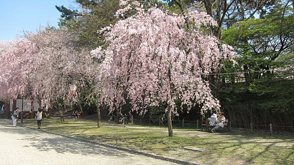 京都崗山米原名古屋 816.jpg