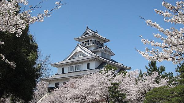 京都崗山米原名古屋 736.jpg