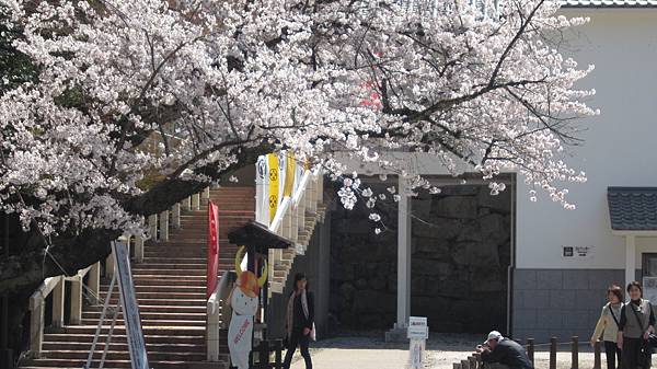 京都崗山米原名古屋 700.jpg