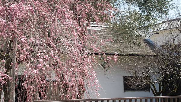 京都崗山米原名古屋 658.jpg