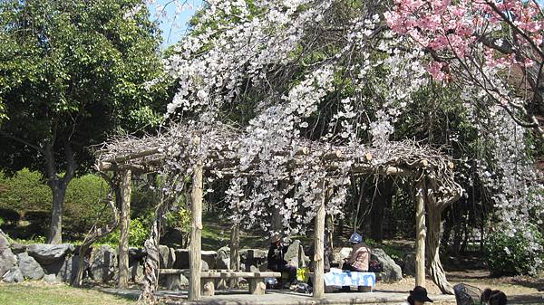 京都崗山米原名古屋 779.jpg