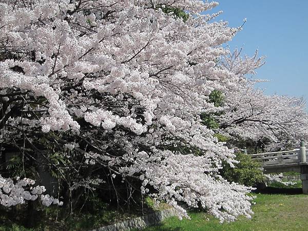 京都崗山米原名古屋 638.jpg