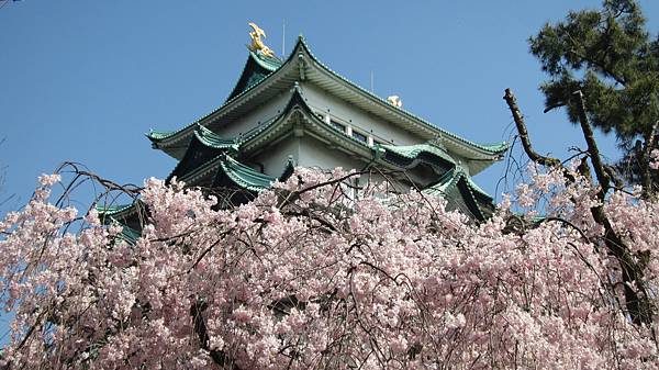 京都崗山米原名古屋 846.jpg