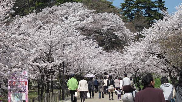 京都崗山米原名古屋 687.jpg