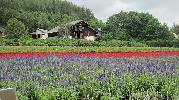 2010夏北海道行 467.jpg