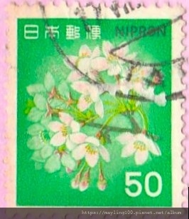 染井吉野櫻
