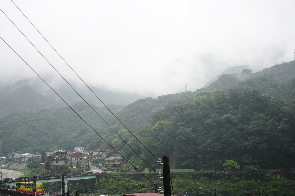 IMGP1239 IMGP1239