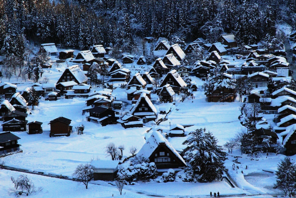 照片 450.jpg 照片 450.jpg