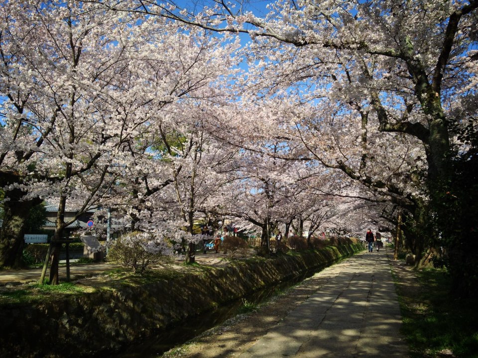 541526_622058181140887_1230999598_n 541526_622058181140887_1230999598_n