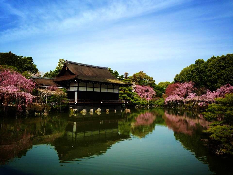 551366_624066794273359_1371741734_n 551366_624066794273359_1371741734_n