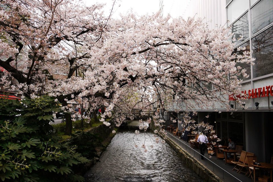 318171_421689664511074_1374322512_n 318171_421689664511074_1374322512_n