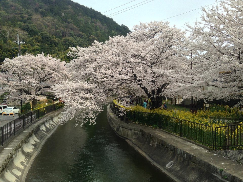 383079_621974071149298_893473036_n 383079_621974071149298_893473036_n