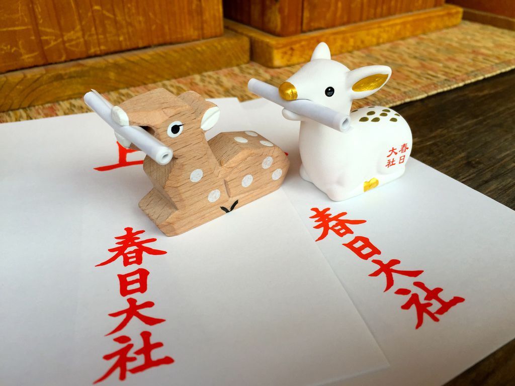IMG_6755 IMG_6755