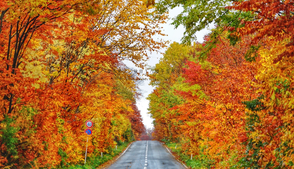 ORG_DSC03625-1.jpg ORG_DSC03625-1.jpg