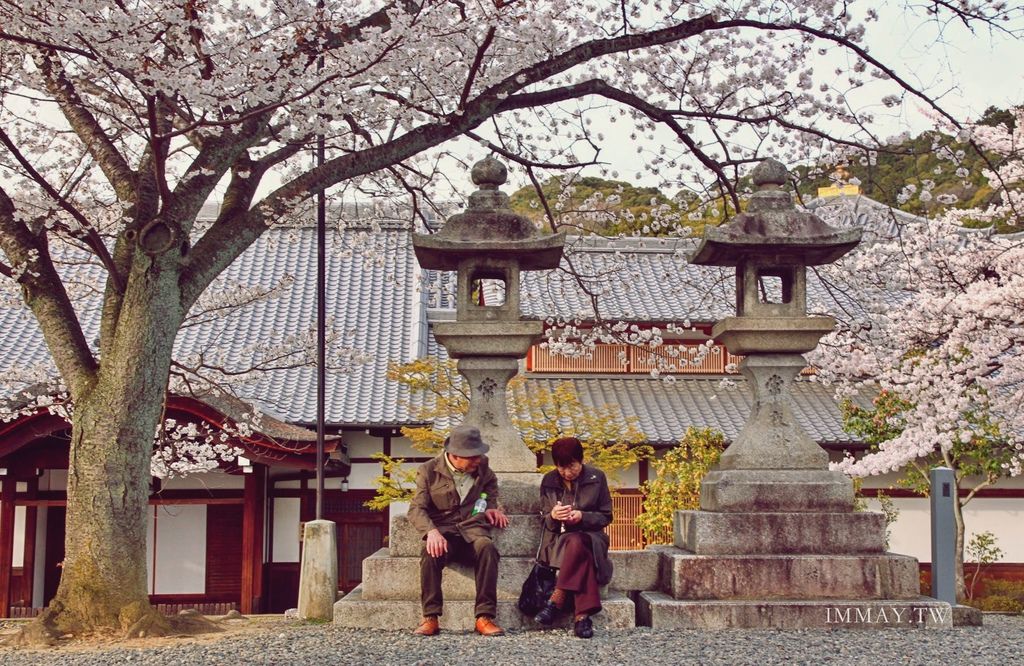 清水寺22 2.jpg 清水寺22 2.jpg