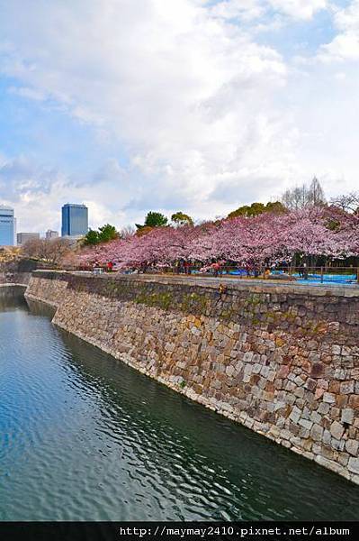 日本賞櫻＠大阪城05