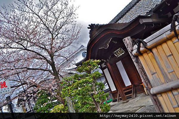 日本賞櫻＠清水寺02