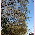 20110226018.JPG