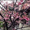 20110219020.JPG