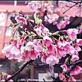 20110219024.JPG