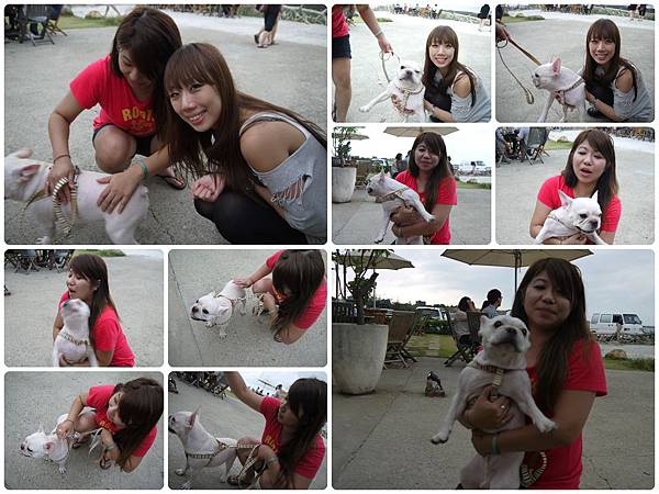 may+筆-鬥牛犬.jpg may+筆-鬥牛犬.jpg