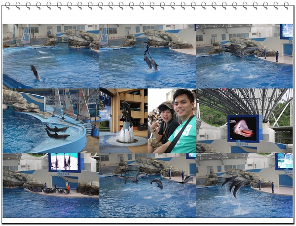 海豚秀.jpg 海豚秀.jpg