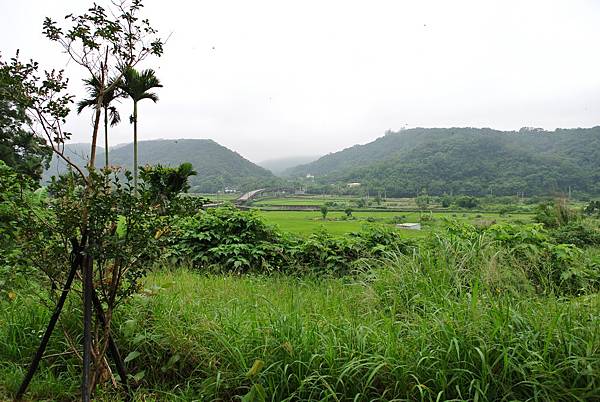 美麗但天氣陰沉