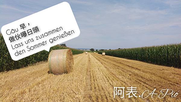 草囷 ▪ Heuballen ▪ Hay Bale ▪ 牧草捲 @亂皂𥴊仔店