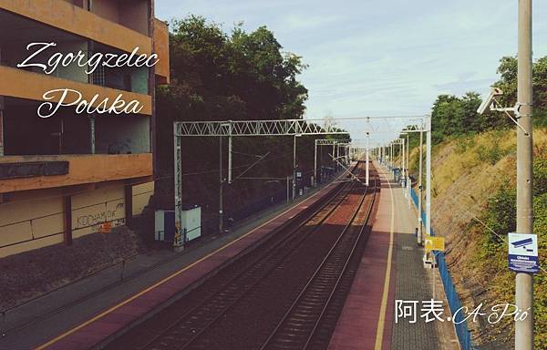 〈行尞ⓅⓁ行跤花〉讀文佯青 ⋯ 波蘭茲戈熱萊茨．Zgorgz