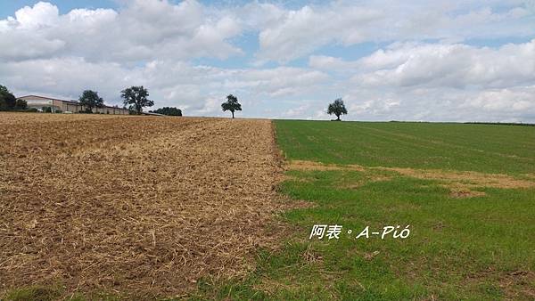 換一个角度看齷齪