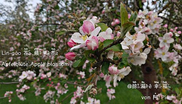 水，這个物質，從來 m̄ 捌固定