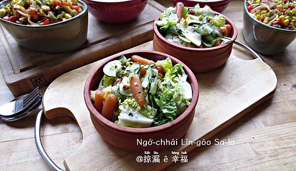 ❰掠肥食サラダ❱五彩林檎サラダ。Gurkensalat mi