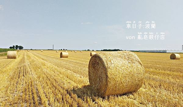 草囷 ▪ Heuballen ▪ Hay Bale ▪ 牧草捲 @亂皂𥴊仔店