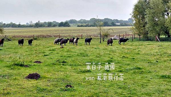 德國呂根島 ▪ Rügen, Deutschland ▪ Germany @亂皂𥴊仔店