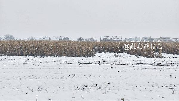 小雪 ❄ 德國 Deutschland @亂皂𥴊仔店