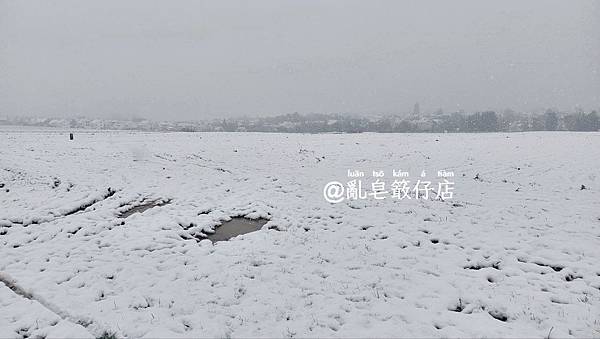 小雪 ❄ 德國 Deutschland @亂皂𥴊仔店