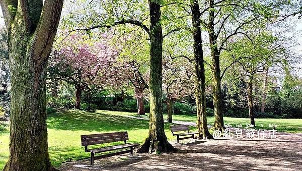 鯽魚食水腮(tshi)