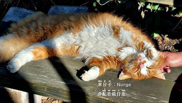 Norge ▪ 挪威 ▪ Norwegen ▪ Norway @亂皂𥴊仔店 